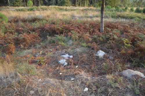 Eliminado un dos vertidos na pista do Pornedo
