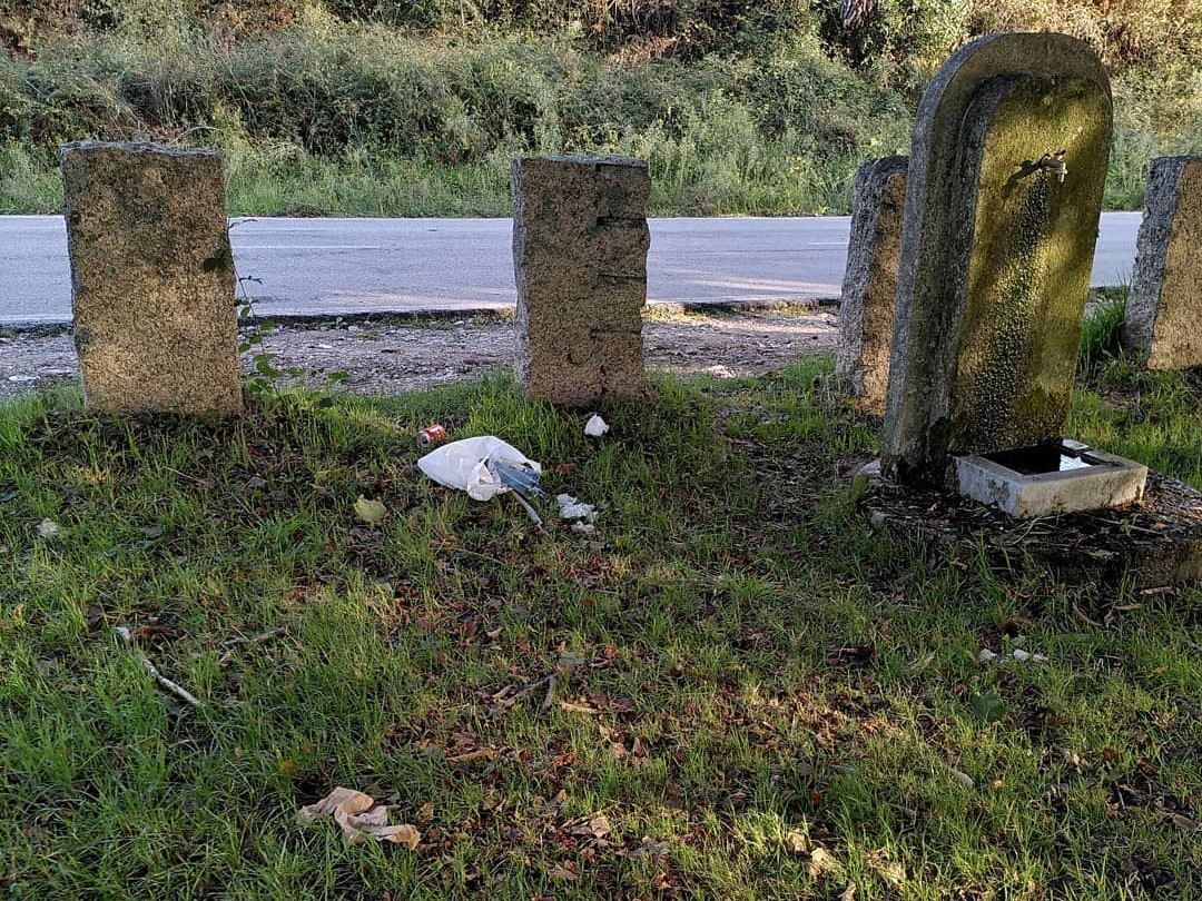 Lixo na arboreda do Pornedo