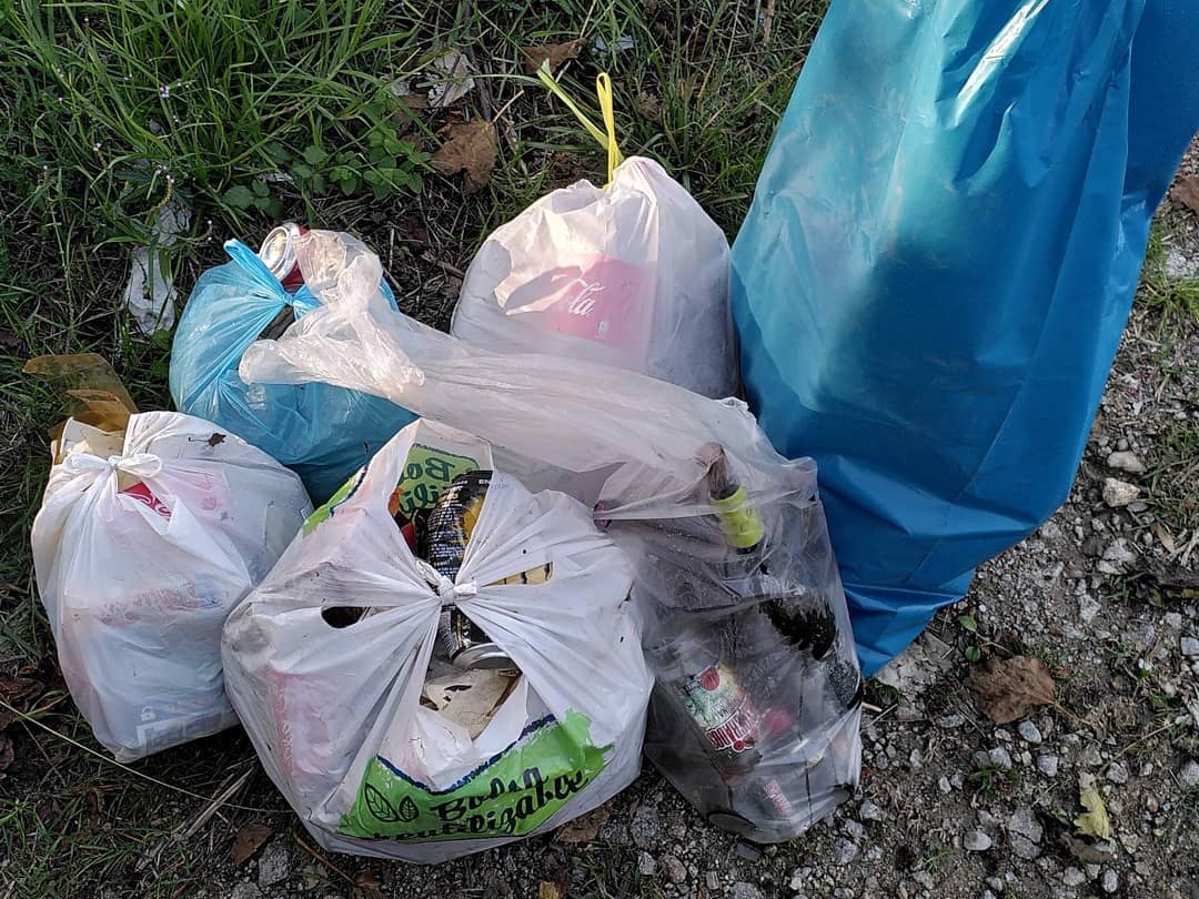 Lixo na arboreda do Pornedo