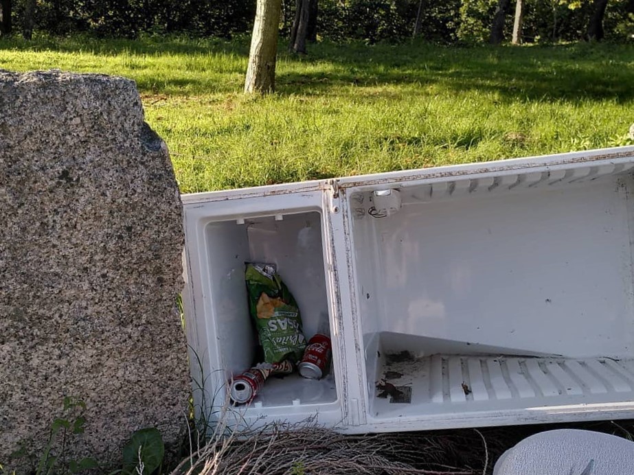 Lixo na arboreda do Pornedo