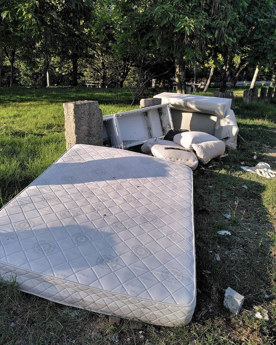 Lixo na arboreda do Pornedo