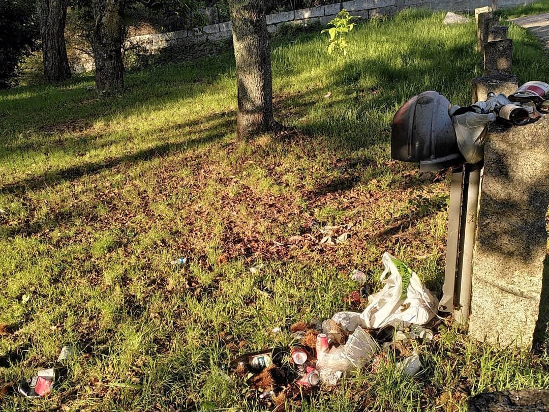 Lixo na arboreda do Pornedo