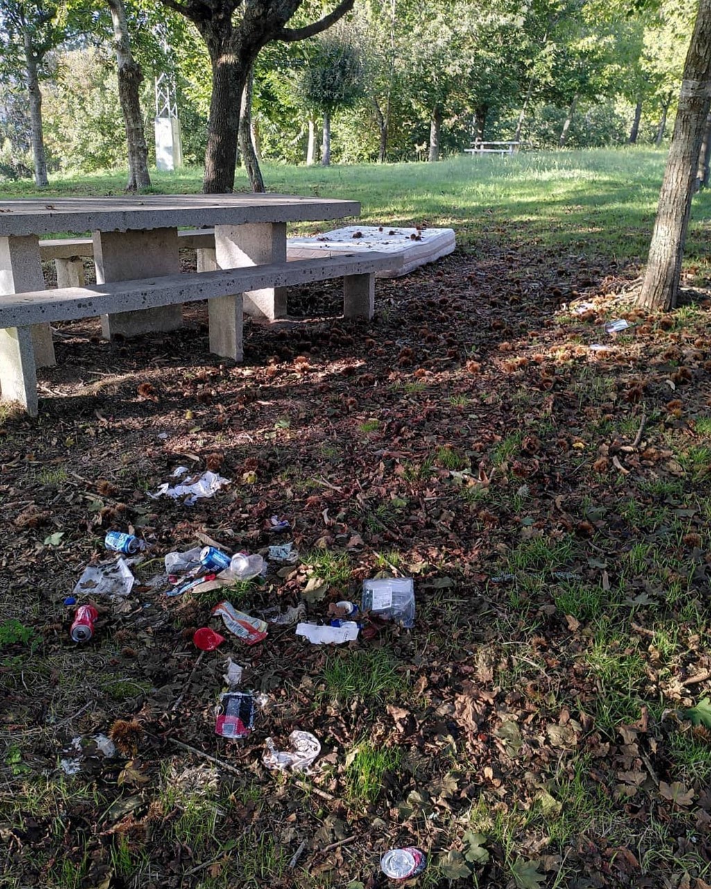 Lixo na arboreda do Pornedo